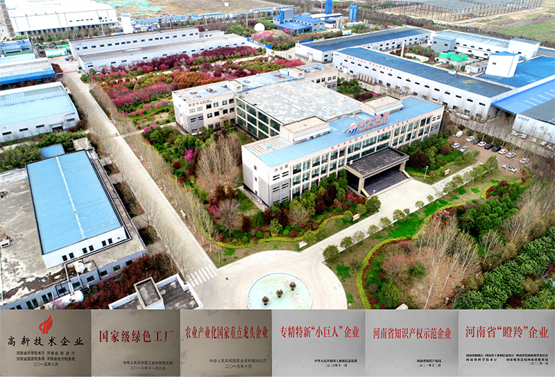 乐动手机版app资质证书.png